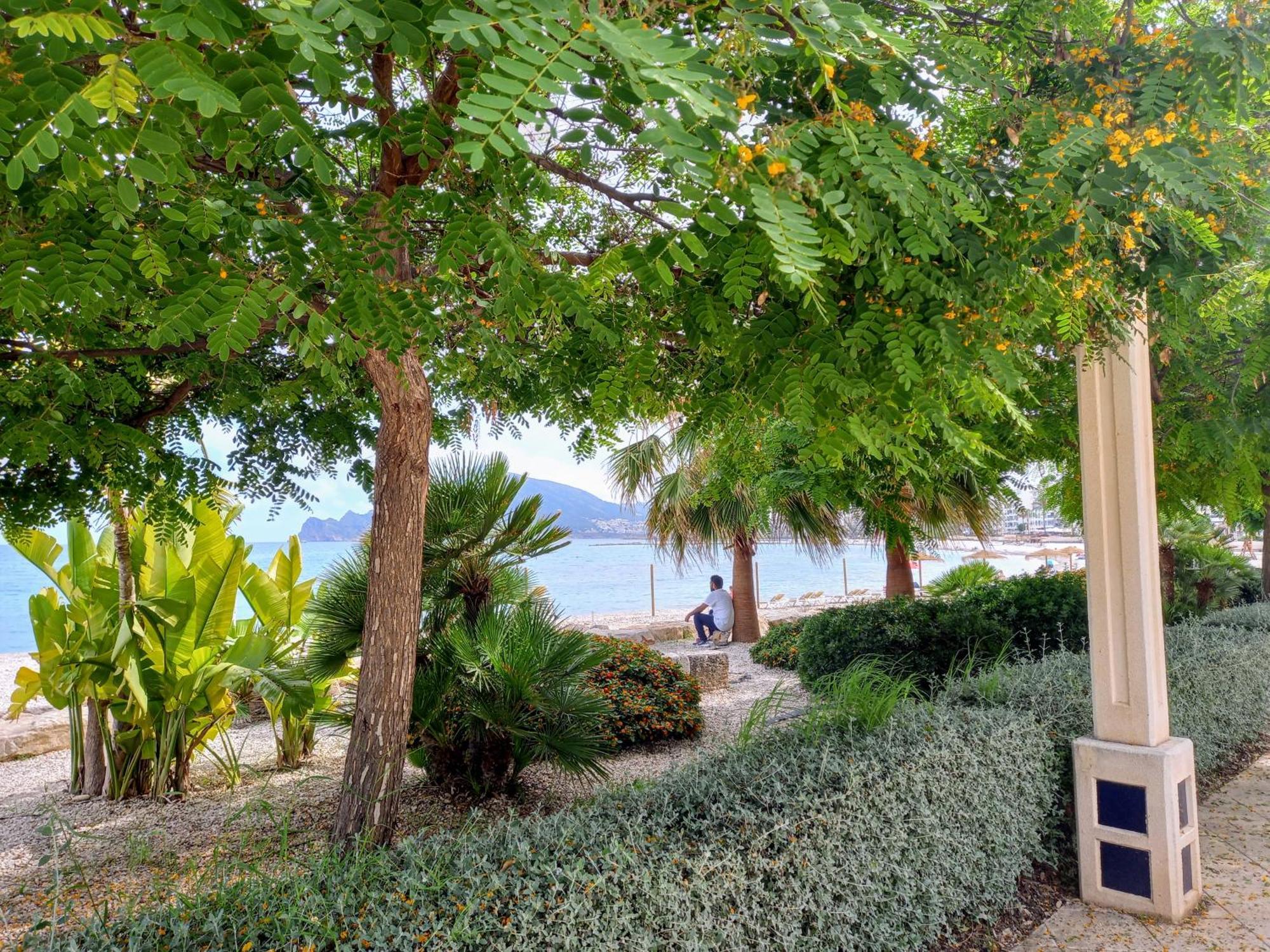 Townhouse Los Olivos M Αλτέα Εξωτερικό φωτογραφία